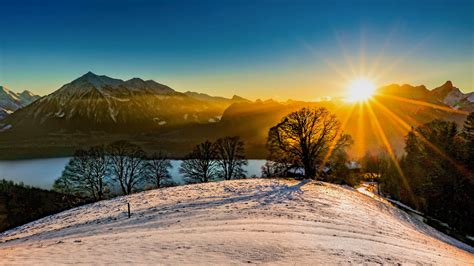 Trees Mountains River In Sunrise Background Under Blue Sky 4K HD ...