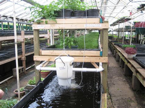 Small Scale Aquaponics System