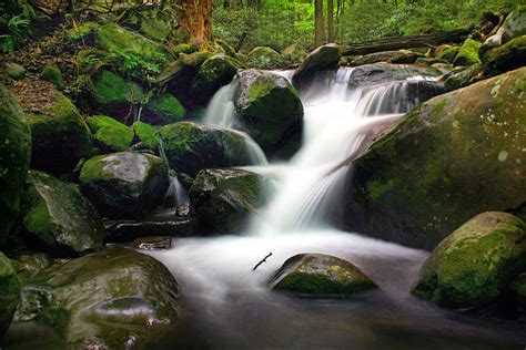 Smoky Mountain Waterfalls Photograph by Cindy Haggerty