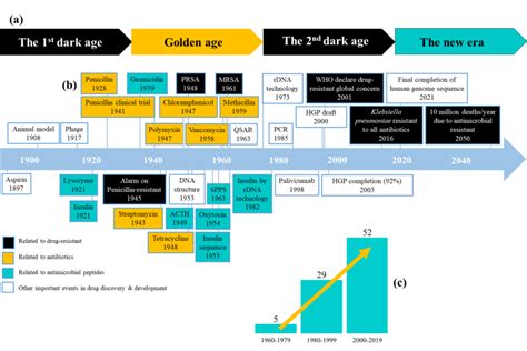 Drug Development Timeline – NBKomputer