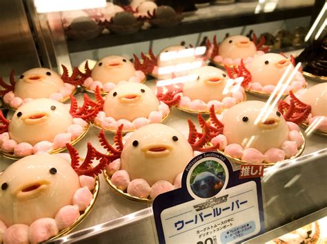 Adorable axolotl flans #japanesefood #food #sushi #Japan #foodporn # ...