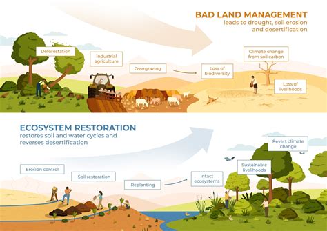 UN Decade of Ecosystem Restoration 2021-30: Plan to ensure ...