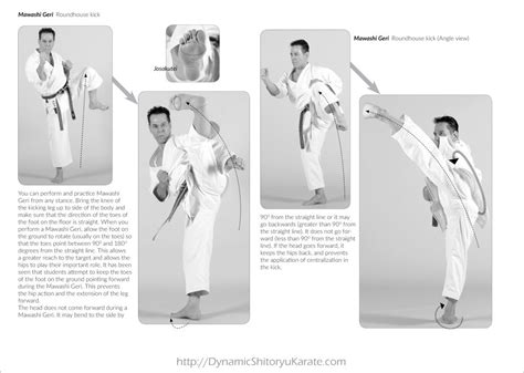 Mawashi Geri “Roundhouse Kick” – A.Tanzadeh, 8th Dan, Kyoshi of World ...