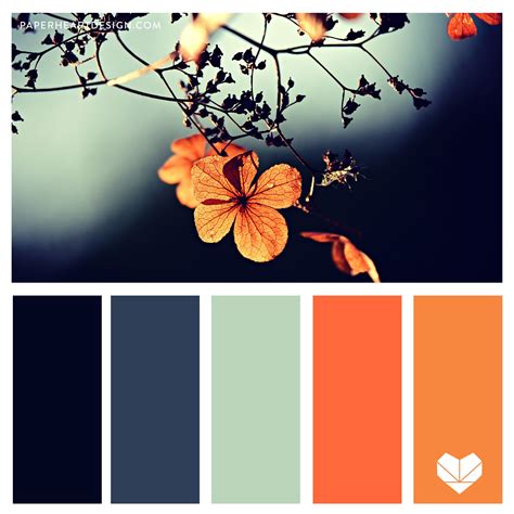 Teal Orange Color Palette Flowers | Orange color palettes, Pantone ...