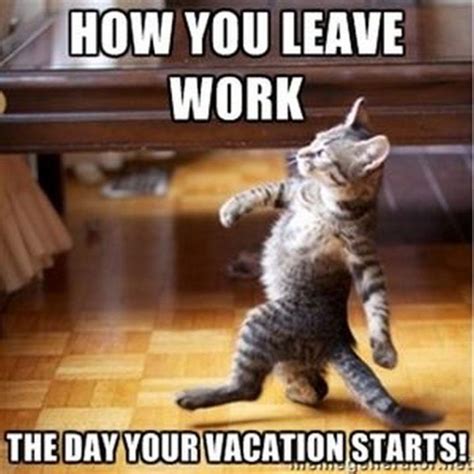 Summer vacation 2020 memes| These hilarious summer vacation 2020 memes ...