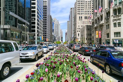 10 Top Tourist Attractions in Chicago (with Map & Photos) | St. Charles