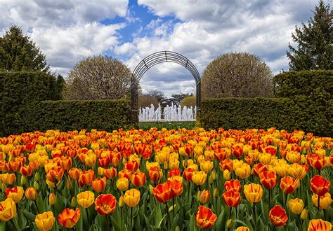 Nature Photography Etiquette in Botanical Gardens