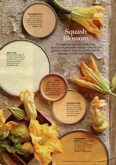 August 2013 - "Squash Blossom" | Better Homes & Gardens Color Palette ...