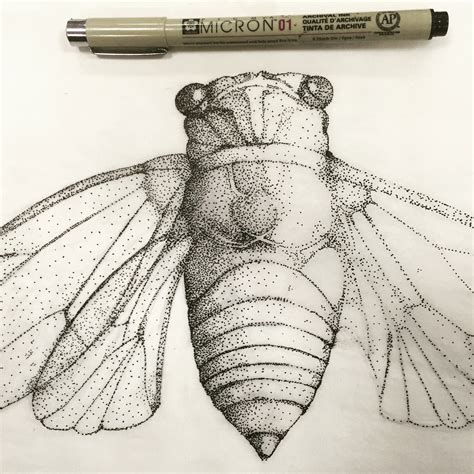 Scientific Illustration — Sophie Lucido Johnson