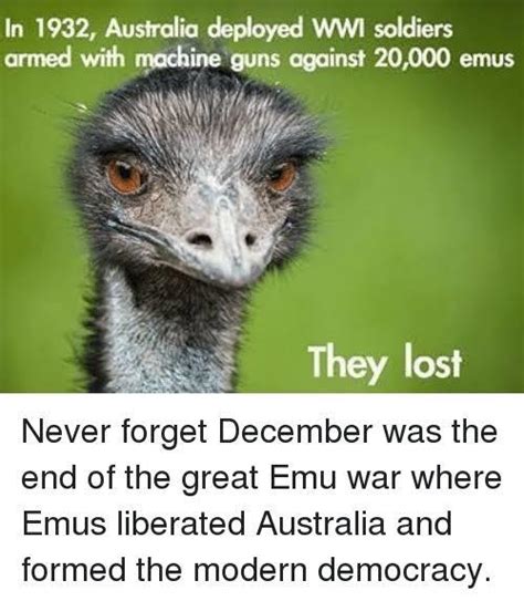 The great emu war - Meme by Josehoezhey :) Memedroid