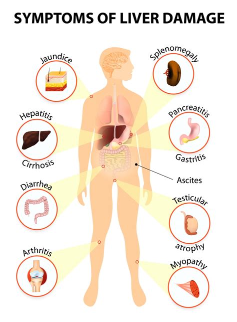 How to Detox Your Liver Naturally