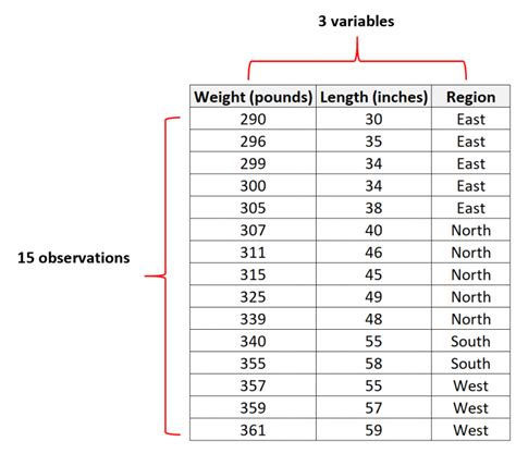 What is an Observation in Statistics?