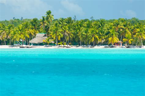 Saona Island Free Stock Photo - Public Domain Pictures