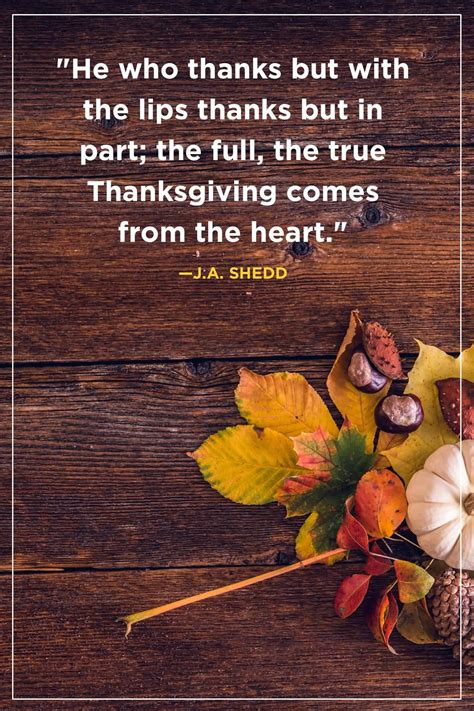 Thanksgiving Quotes Wallpapers - 4k, HD Thanksgiving Quotes Backgrounds ...