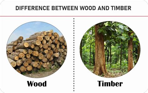 What is Difference between Wood and Timber?