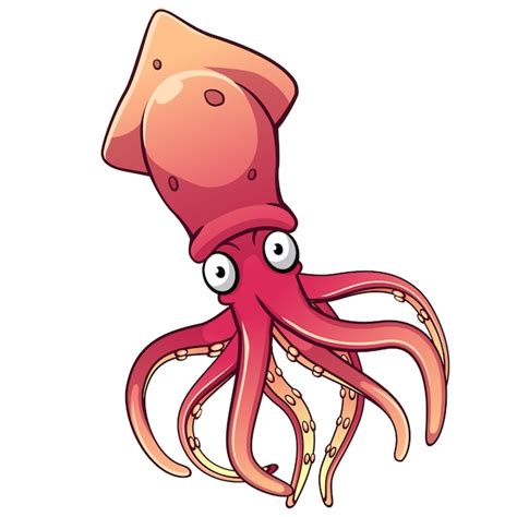 Premium Vector | Squid cartoon