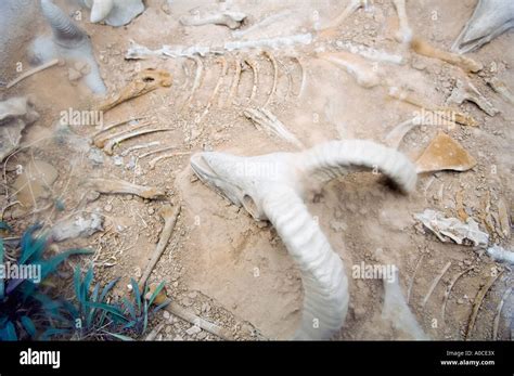 Fu hao tomb hi-res stock photography and images - Alamy