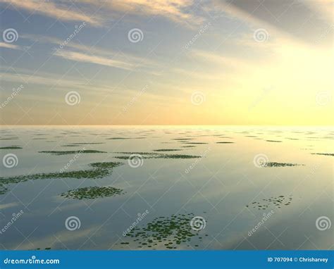 Lilly Pad Lake 2 stock photo. Image of outdoor, outside - 707094