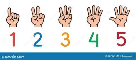 Hands with Fingers.Icon Set for Counting Education Stock Vector ...