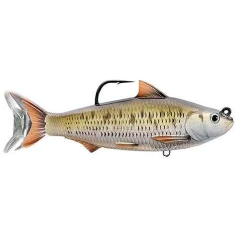 Common Shiner Swimbait – Freshwater, 6″ Length, 1′-12′ Depth, 2 1-4 oz ...