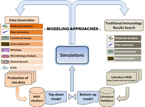 Computational Modeling | Nutritional Immunology and Molecular Medicine ...