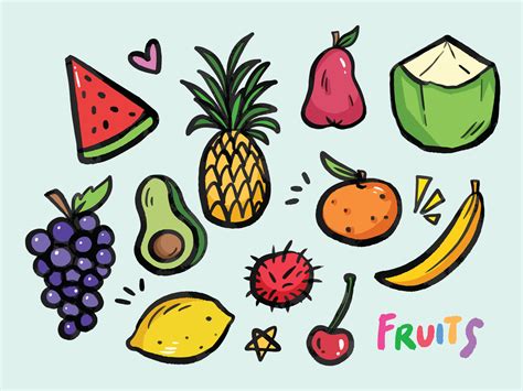 Textured and outlined various fruits vector illustration set collection ...