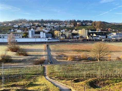 View of the village of Wädenswil (Waedenswil) from the south and the ...