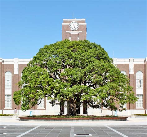 Kyoto University (Japan) – Amgen Scholars