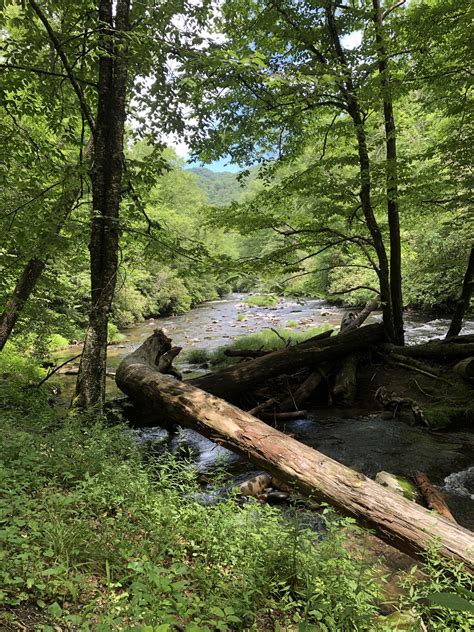 Deep Creek Loop Trail, Smoky Mountains National Park : r/hiking