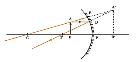 Different Types of Mirrors and How to Calculate Magnification