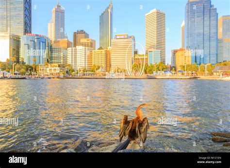 Perth skyline at sunset Stock Photo - Alamy