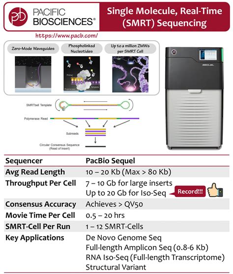 PacBio – Sequel – NGS Core at BRCAS