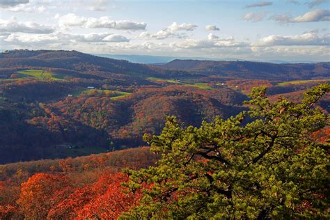 Fall foliage underway in state parks - WV MetroNews