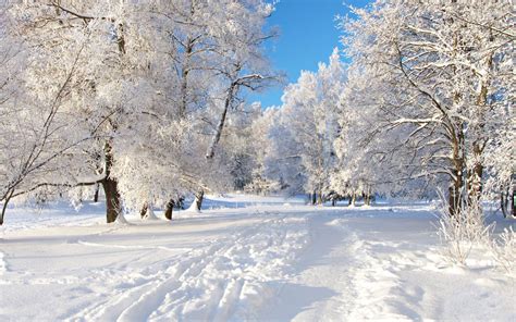 Winter Wonderland Scenes Wallpaper (38+ images)