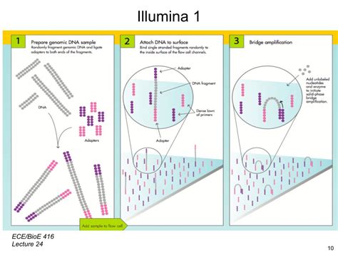 illumina - DriverLayer Search Engine