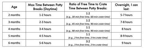 Get Printable Puppy Potty Training Schedule Chart Pictures