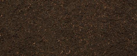 Dirt-Background - Anderson Seeds