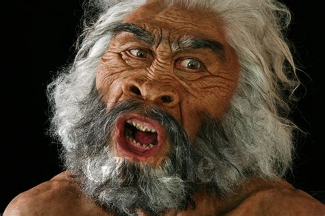 Homo Erectus Facial Reconstruction