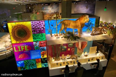 Perot Museum of Nature & Science ~ Dallas, Texas - R We There Yet Mom?