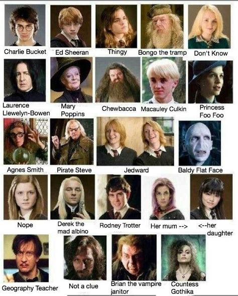 Handy guide to #HarryPotter characters 😉 | Harry potter movie ...