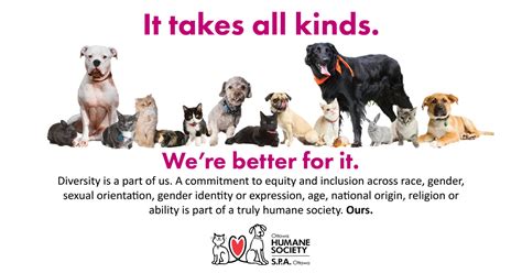 Volunteer Opportunities - Ottawa Humane Society