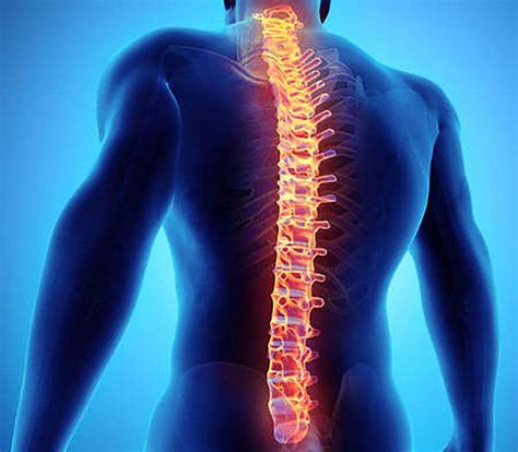 Radiculopathy: Cervical, Thoracic, Lumbar (Pinched Nerve)