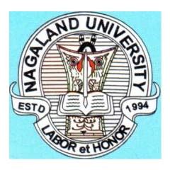 Nagaland University Recruitment 2022 – Apply Offline for 68 Professor ...