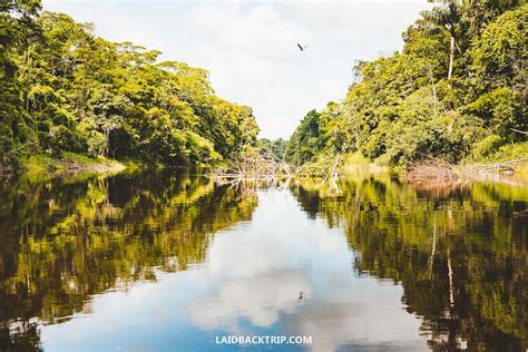 A Complete Guide to Visiting the Amazon in Peru — LAIDBACK TRIP