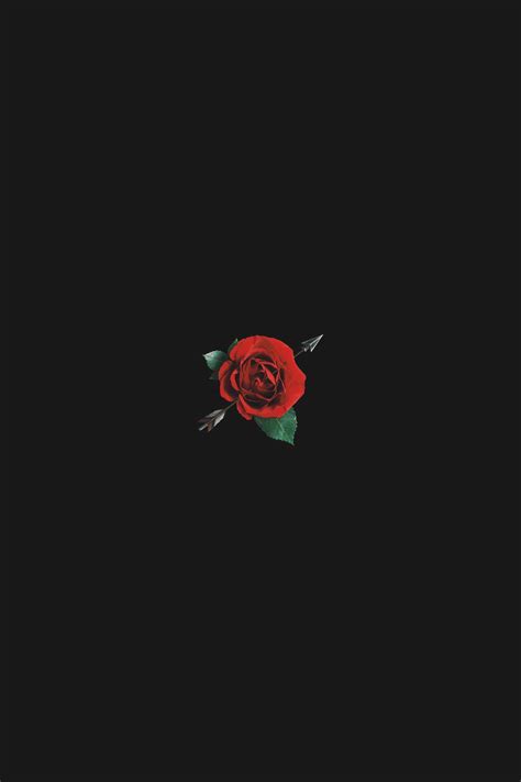 Black Rose Aesthetic Wallpapers - Top Free Black Rose Aesthetic ...