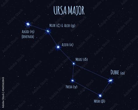 Ursa Major (Great Bear, Big Dipper) constellation, vector illustration ...