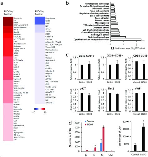 Protein array analysis reveals the secretion of ECM proteins, including ...