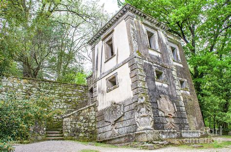 Bomarzo gardens - Lazio - Italy travel Photograph by Luca Lorenzelli ...