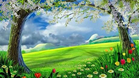 371 Background In Nature Pics - MyWeb