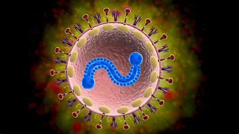 Respiratory Syncytial Virus (RSV) - Hospital Magazine - Leading ...